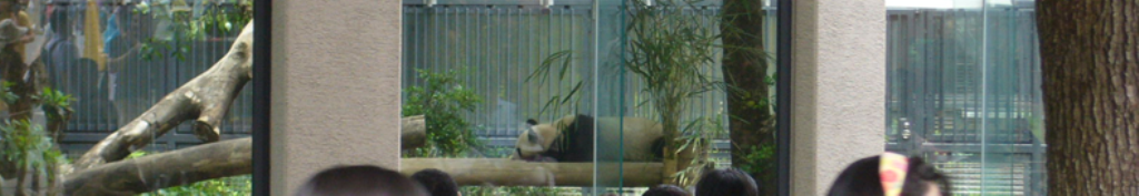 24karats ジャージに関する情報