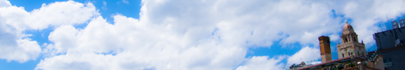 スキーに注目してみた！！