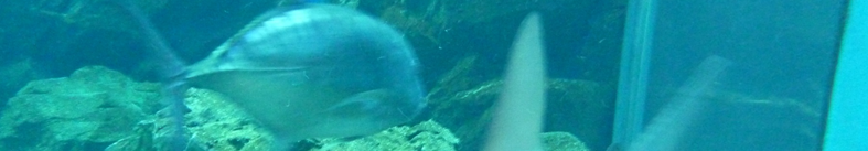 無塩野菜ジュースの情報収集なら！！