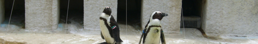 スナックチョコレートの関連ニュース